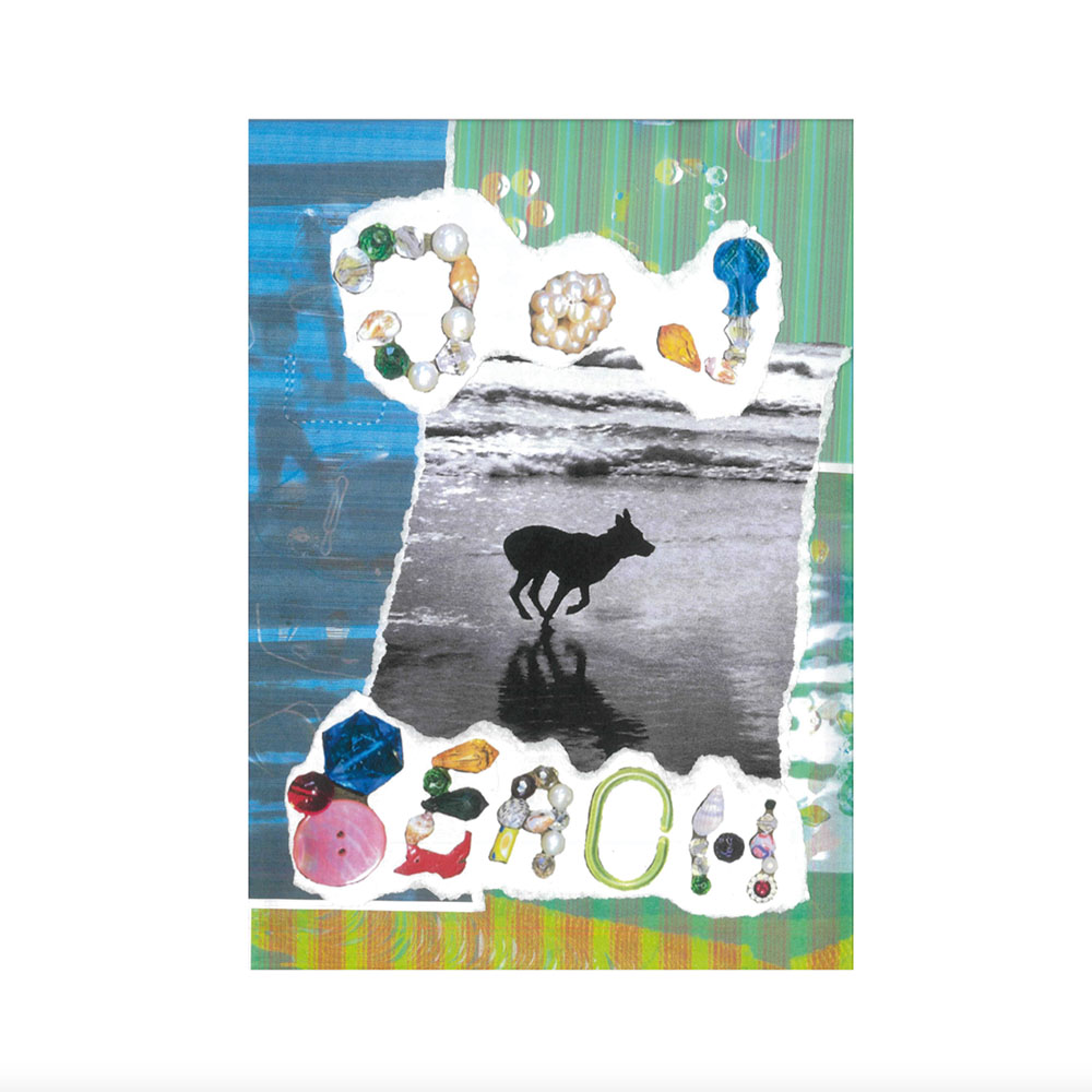 selection_40-Merryn_Jeann-DOG_BEACH
